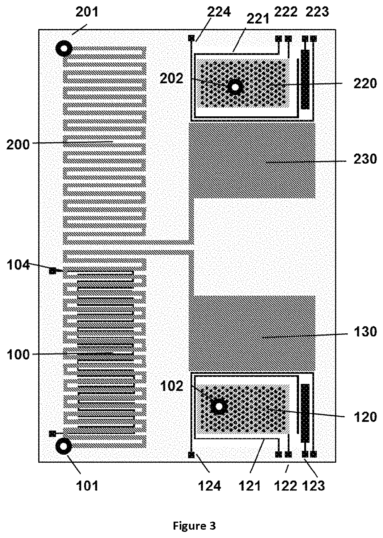 Method for liquid authentication by detection of flavonoid derivatives