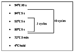 Detection method and detection kit for genotyping of human platelet alloantigen (HPA)