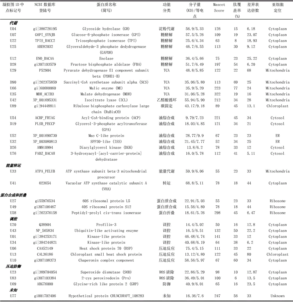 Method for screening control enzyme of microalgae adipopexis