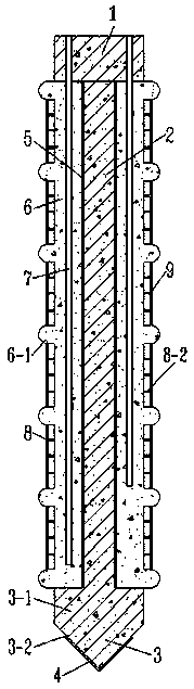 Prefabricated drainage bamboo pile and preparation method thereof