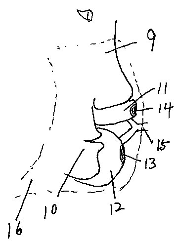 Multifunctional mask with independent channel