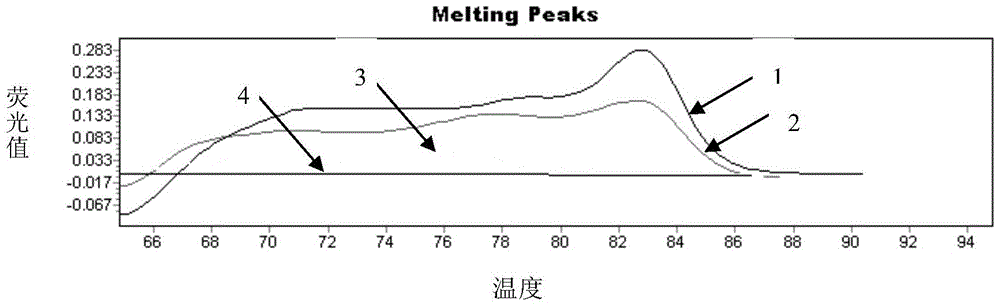 A Nucleotide Sequence and Method for Identifying Milk Components and Beef Bone Meal Components in Feed