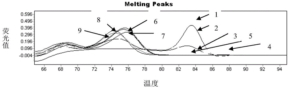 A Nucleotide Sequence and Method for Identifying Milk Components and Beef Bone Meal Components in Feed