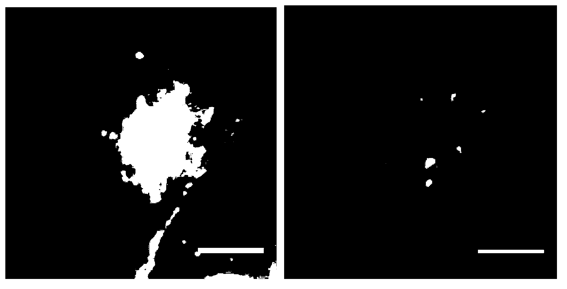 Total internal reflection illumination and semi-total internal reflection illumination dual optical path fluorescence microscope system