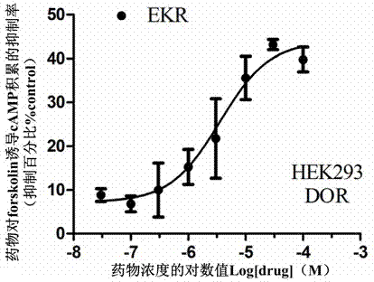 Split type hybrid peptides based on endomorphin 2 and NPFF (Neuropeptide FF) receptor antagonist RF9, as well as synthetic method and application thereof