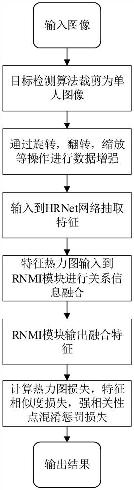 Human body posture estimation method based on key point correlation