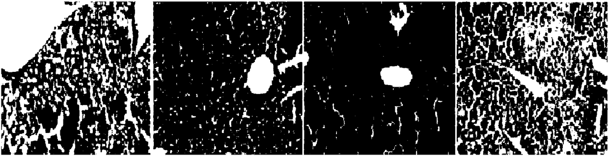 Extraction method of active components of lycium barbarum and application