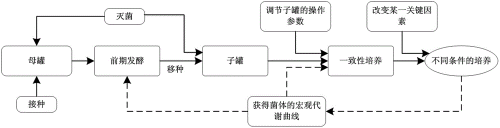 Fermentation linkage device and method for realizing fermentation linkage