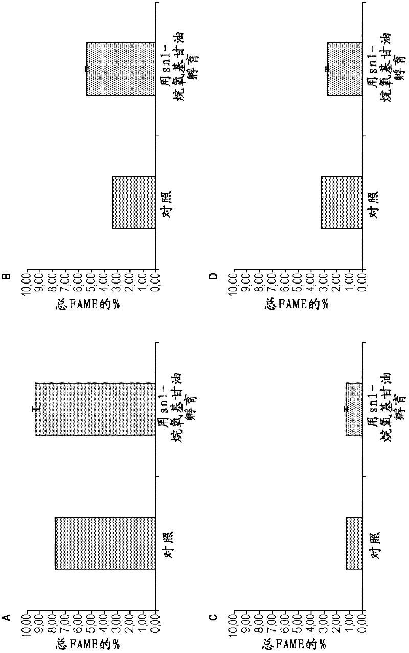 Method for increasing endogenous plasmalogen levels in mammals