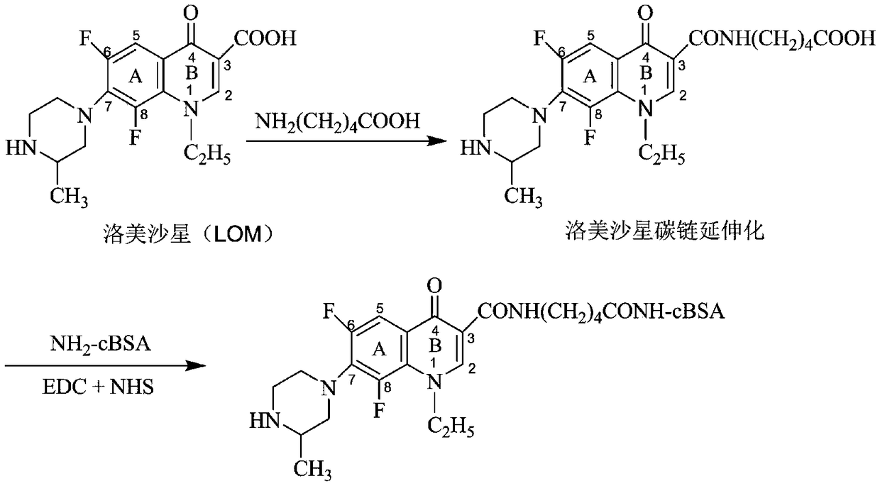 A kind of lomefloxacin immunogen and its preparation method and detection test paper card