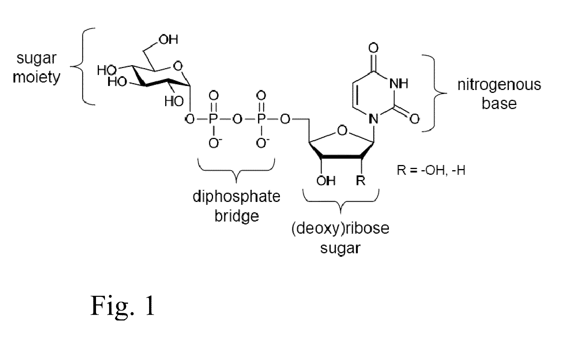 Glycosyltransferase reversibility for sugar nucleotide synthesis