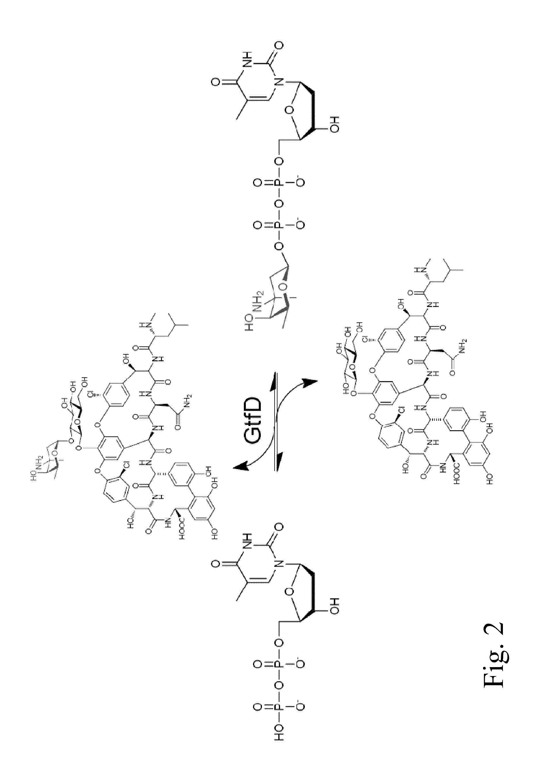 Glycosyltransferase reversibility for sugar nucleotide synthesis