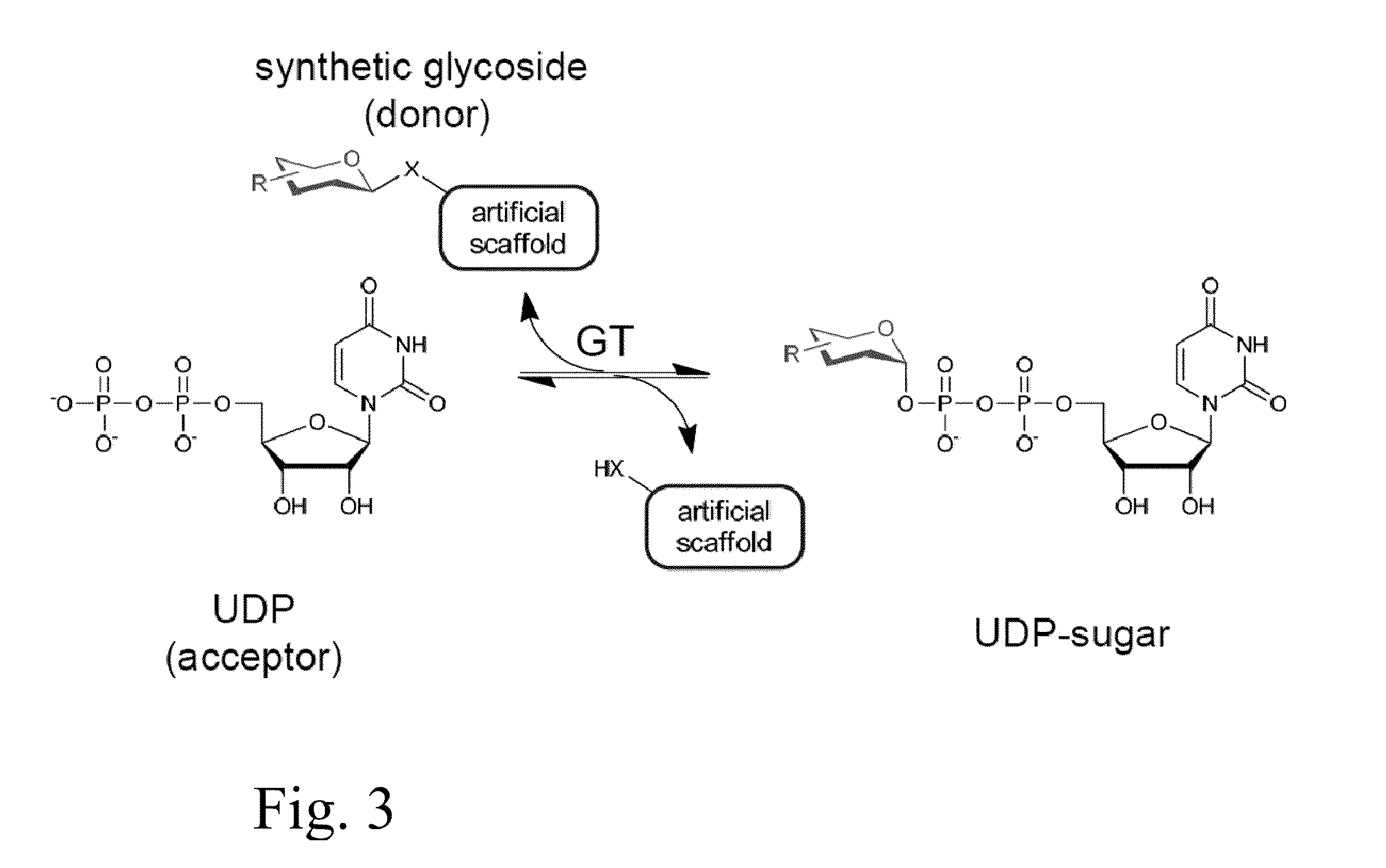Glycosyltransferase reversibility for sugar nucleotide synthesis