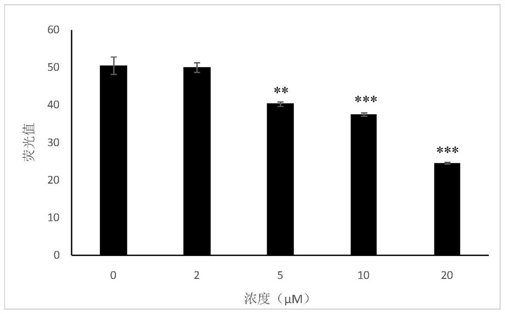 Targeting the cyp1b1 enzyme for radioactivity  <sup>18</sup> f-labeled probe precursor