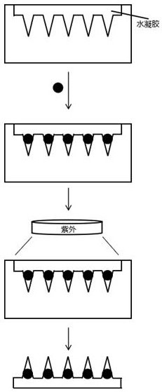 Drug-loaded microsphere-microneedle array for uniform drug administration, preparation method and application