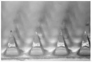 Drug-loaded microsphere-microneedle array for uniform drug administration, preparation method and application