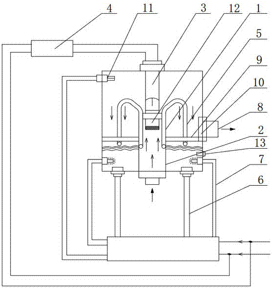 Water purifying and filtering device capable of efficiently killing bacteria and degrading organic compounds