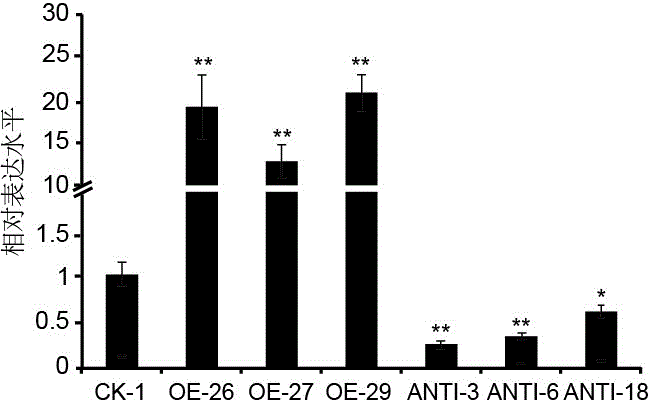 Gene for regulating polar wood yield and application thereof