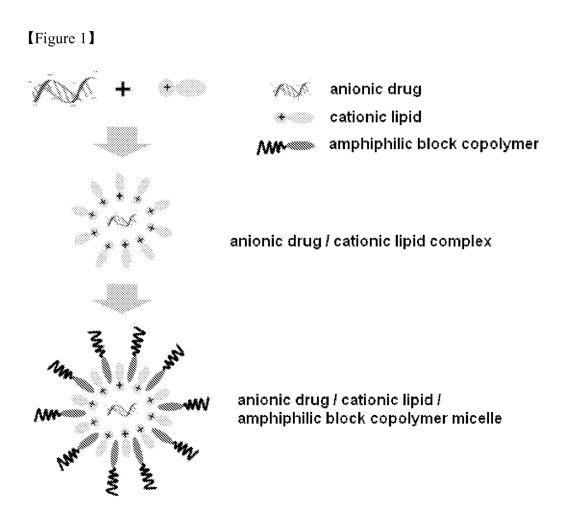 Method of Preparing Composition for Delivering an Anionic Drug