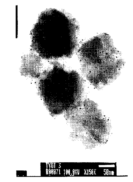 Prepn of zeolite carried polymer metal cluster