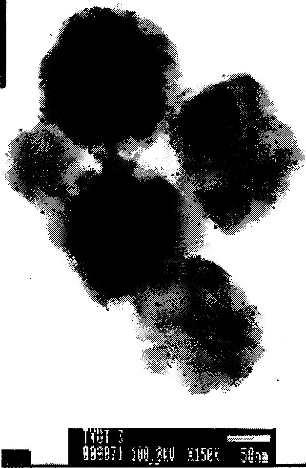 Prepn of zeolite carried polymer metal cluster