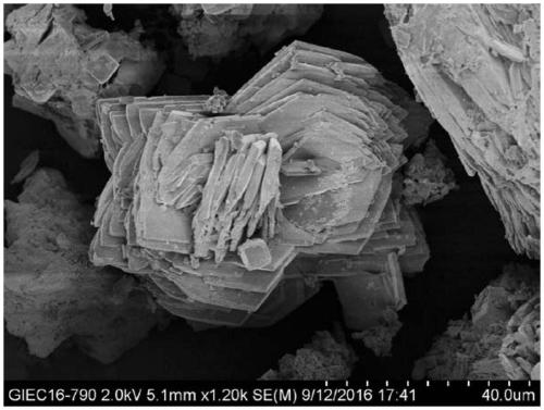 Method for promoting anaerobic digestion sludge heavy metal stability