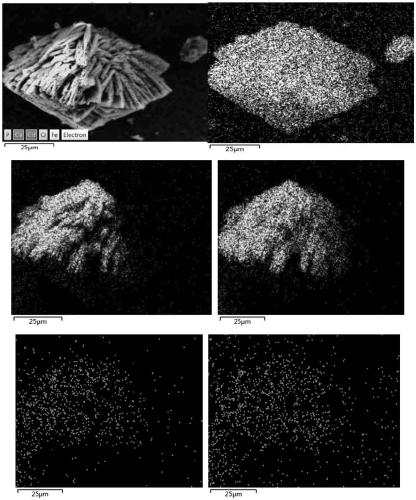 Method for promoting anaerobic digestion sludge heavy metal stability