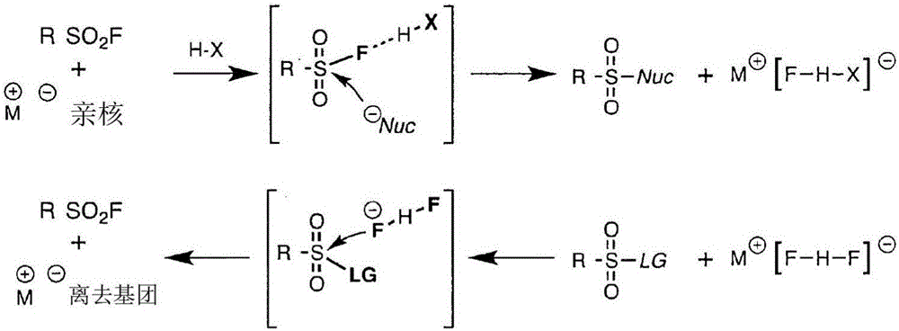 Sulfur(vi) fluoride compounds and methods for the preparation thereof