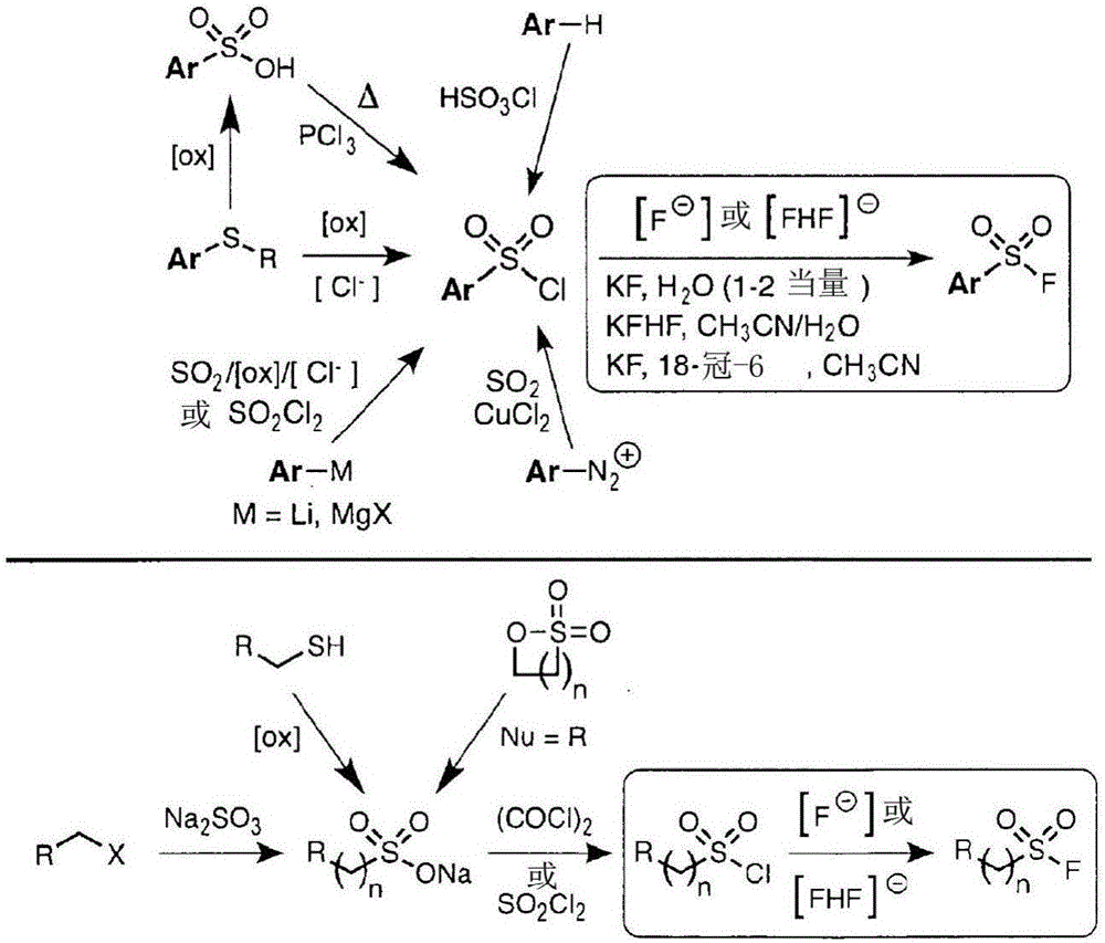 Sulfur(vi) fluoride compounds and methods for the preparation thereof