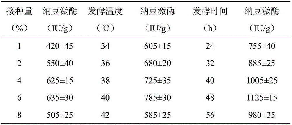 Mixed culture fermentation tea bag and preparation method thereof