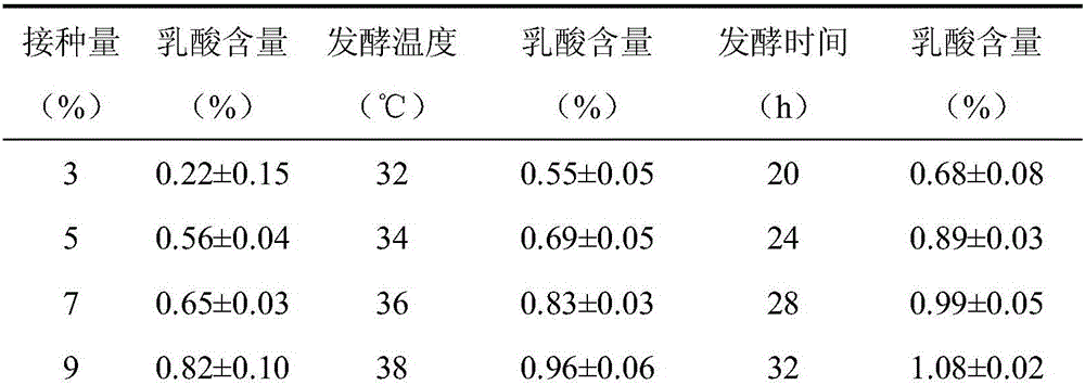 Mixed culture fermentation tea bag and preparation method thereof