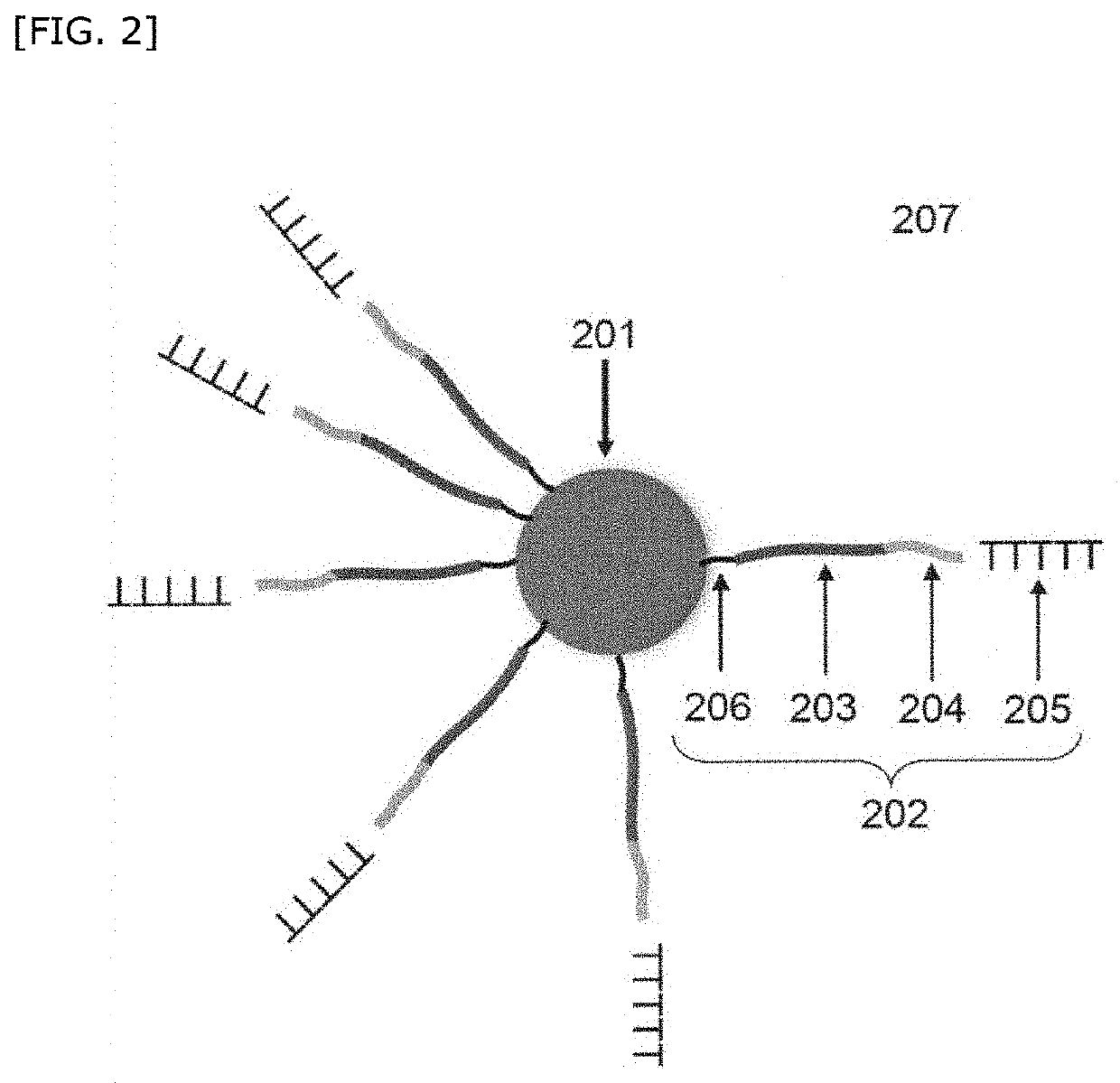 Method for detecting genome-related information of cell
coexisting with at least one type of test substance