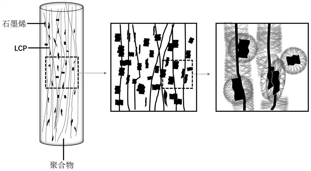 A kind of preparation method of graphene and liquid crystal polyester synergistically reinforced polymer fiber