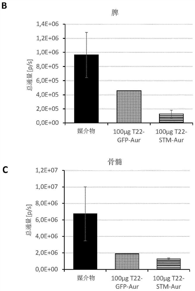 Therapeutic nanoconjugates and uses thereof