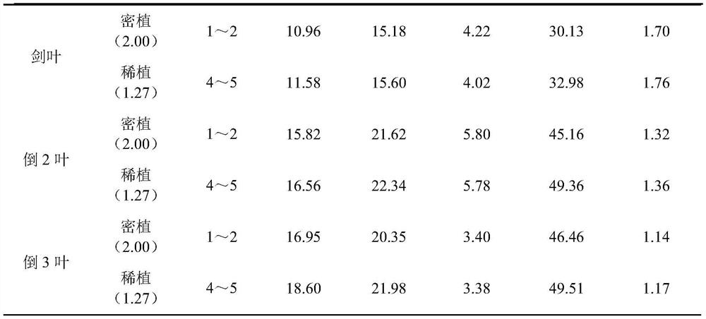 Cultivation method for enhancing lodging resistance of Yexiangyou series high-quality hybrid rice