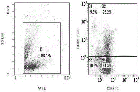 A serum-free medium for immune cells