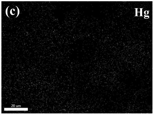 High-stability ultralow-mercury catalyst, and preparation method and application thereof