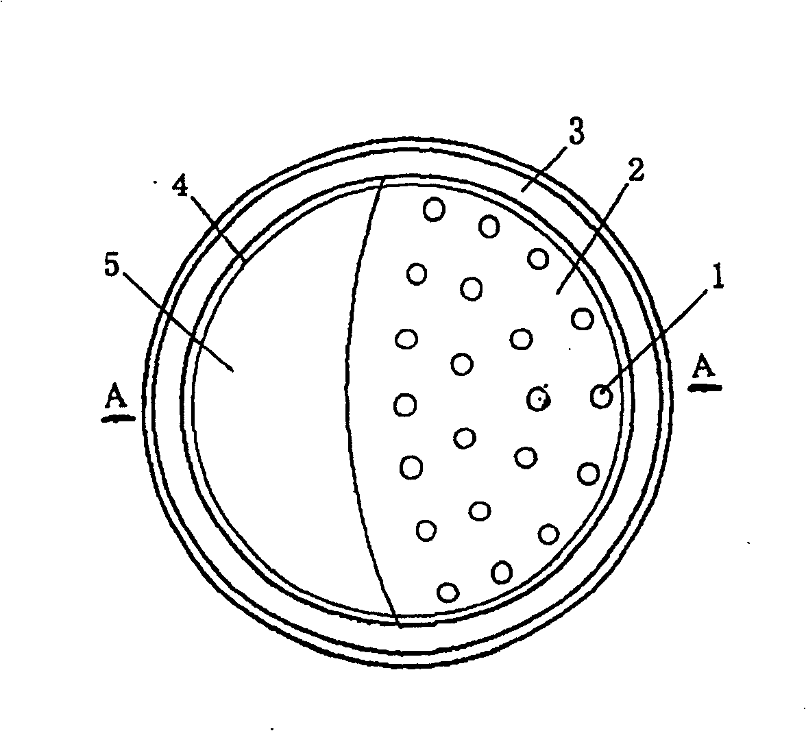 Chip of overvoltage protector of semiconductor in low capacitance