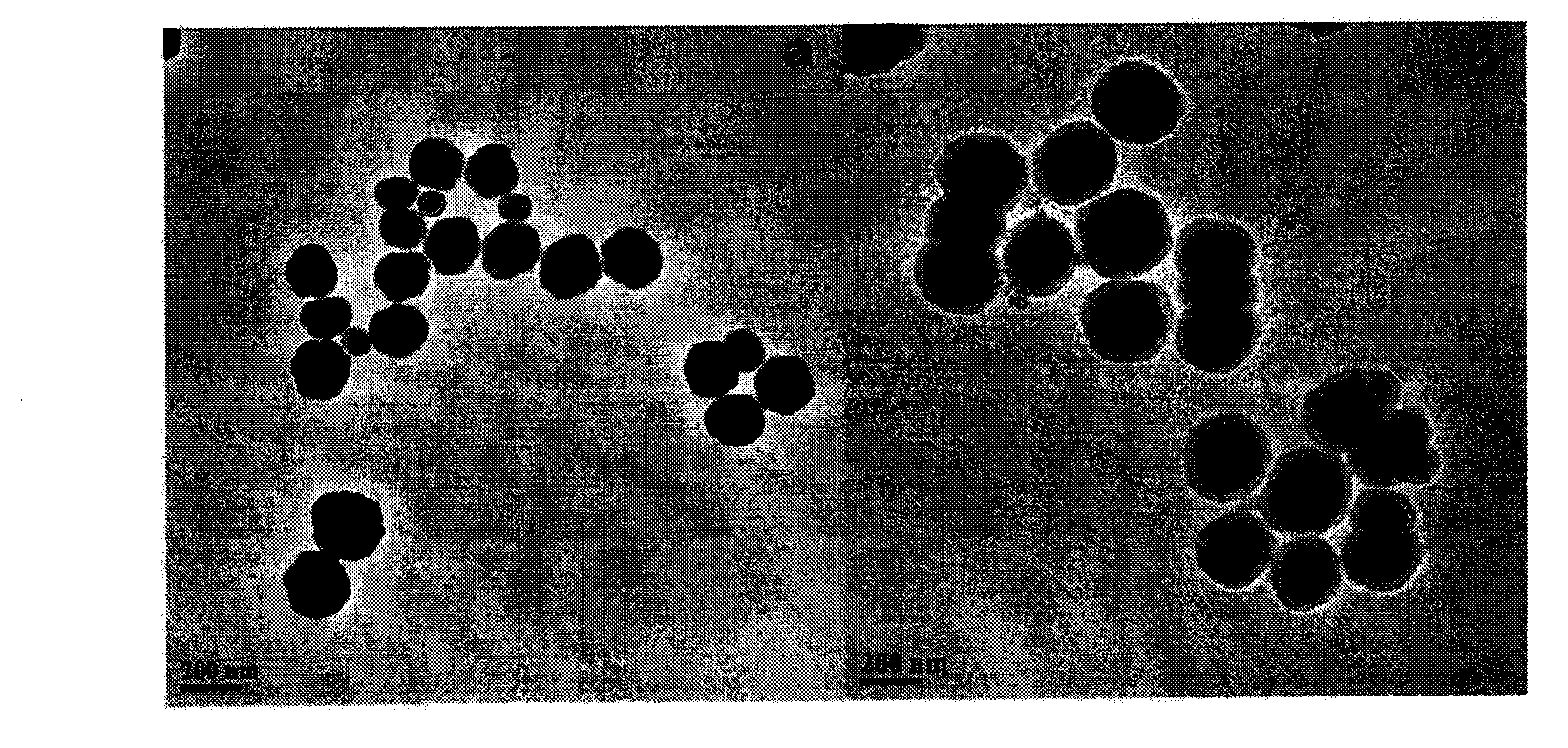 Method for detecting fumonisin B1 based on fluorescence resonance energy transfer