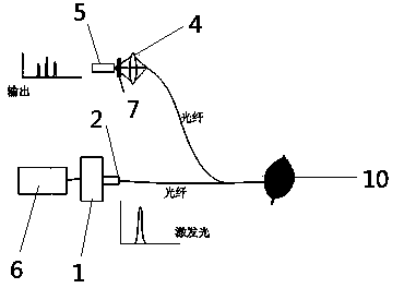 Fluorescence spectrum detection device for pesticide residue