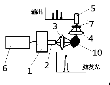 Fluorescence spectrum detection device for pesticide residue