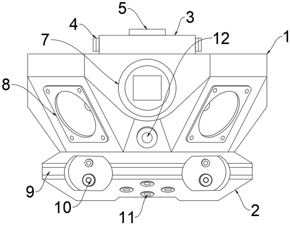 Unmanned aerial vehicle bird repelling device