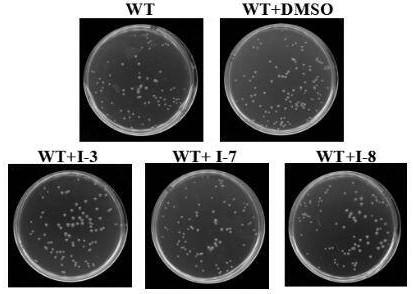 Application of beta-nitro ethyl acrylate compound in preventing and/or treating plant diseases