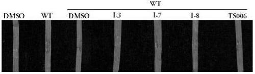 Application of beta-nitro ethyl acrylate compound in preventing and/or treating plant diseases