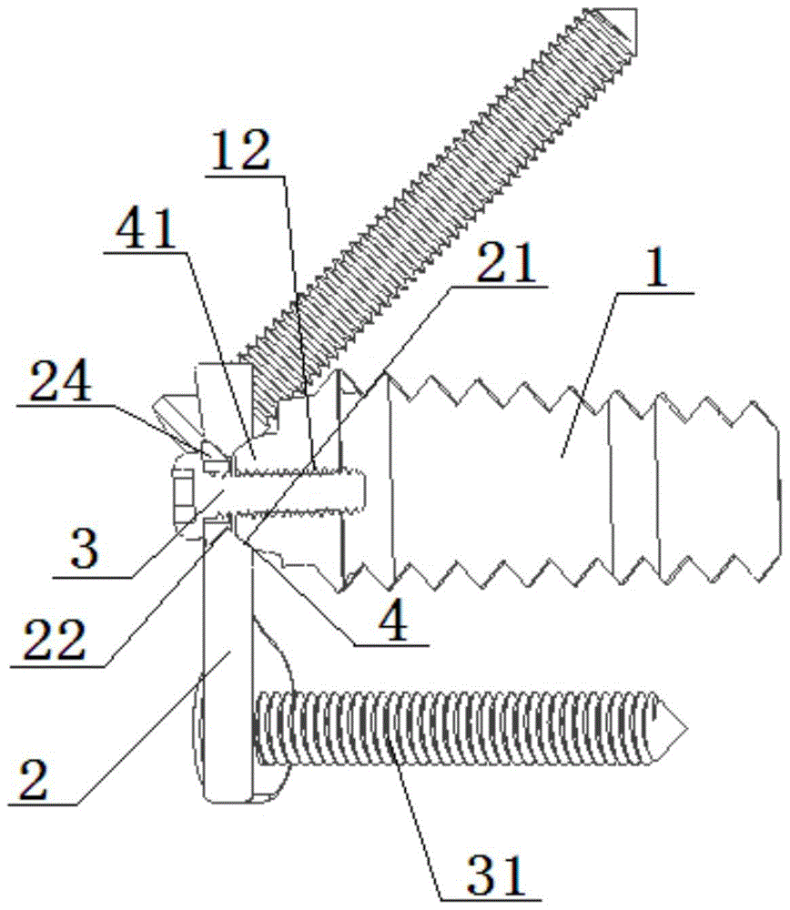 Adaptive floating combined cervical interbody cage