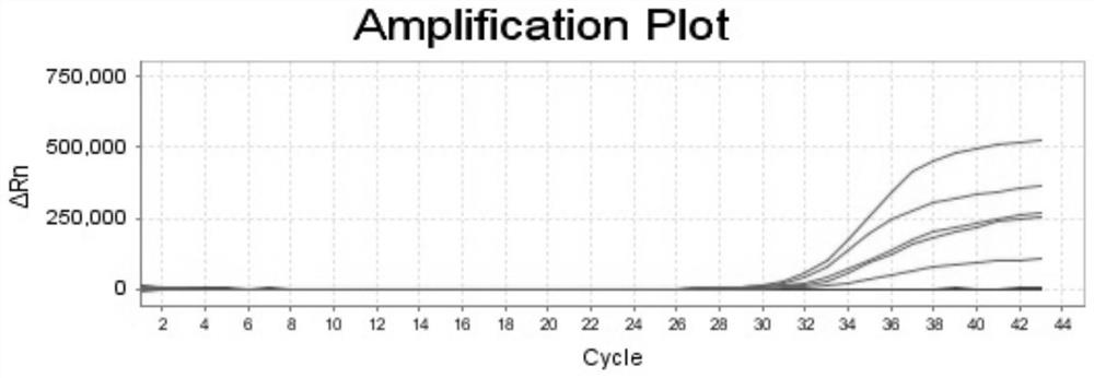 Novel coronavirus nucleic acid and mutant gene detection kit based on fluorescent quantitative PCR technology and application of kit