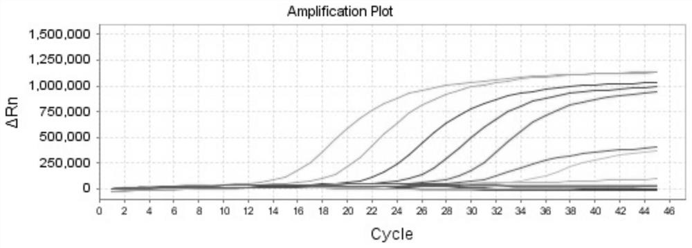 Novel coronavirus nucleic acid and mutant gene detection kit based on fluorescent quantitative PCR technology and application of kit