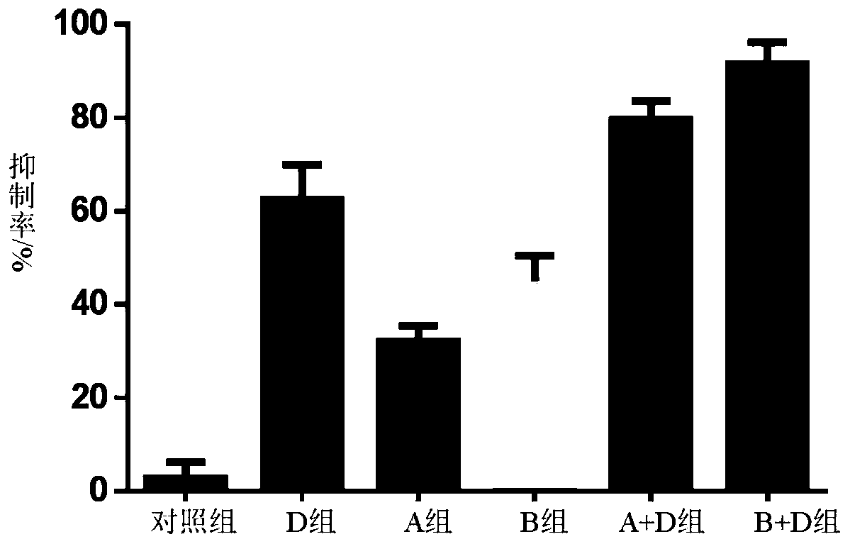 Application of sodium ion channel blocker in preparation of drugs to treat melanoma