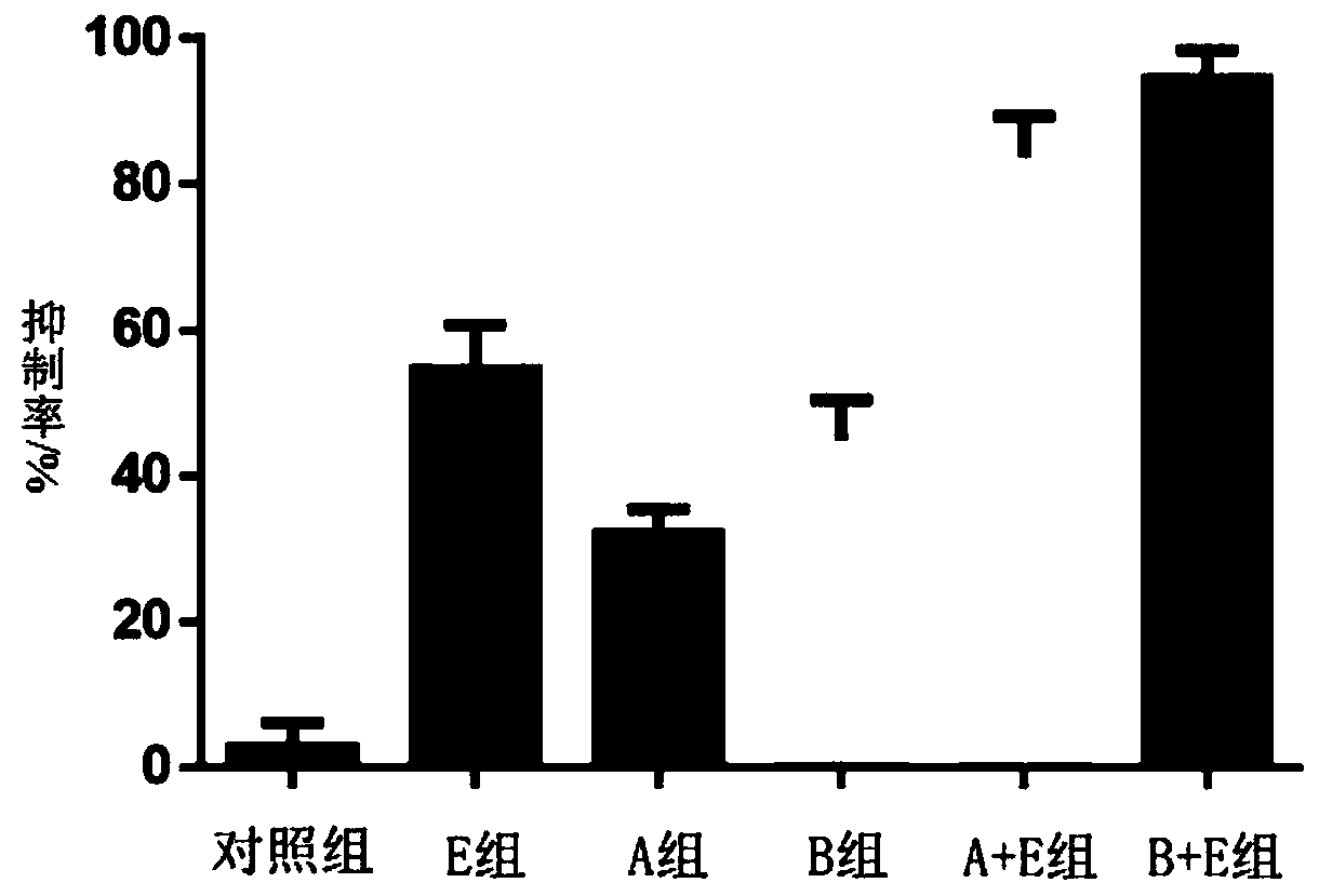 Application of sodium ion channel blocker in preparation of drugs to treat melanoma