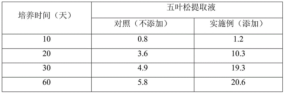 Method for increasing yield of antrodia cinnamomea and bioactive substance content of antrodia cinnamomea